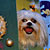 The Pet Masquerade and Parade 2002 photo - Duval Street, Key West